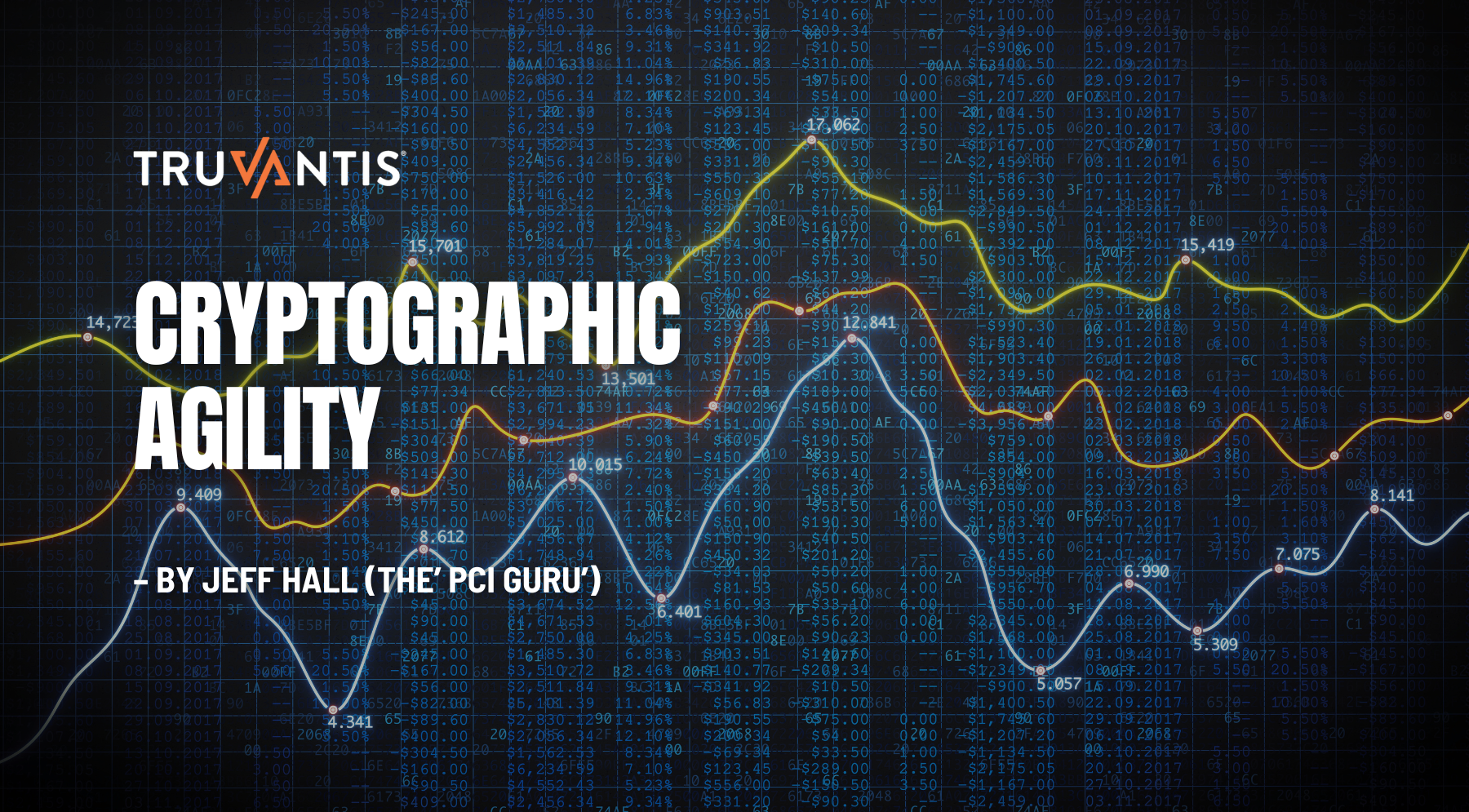 Cryptographic Agility – by Jeff Hall (the ’PCI Guru’)